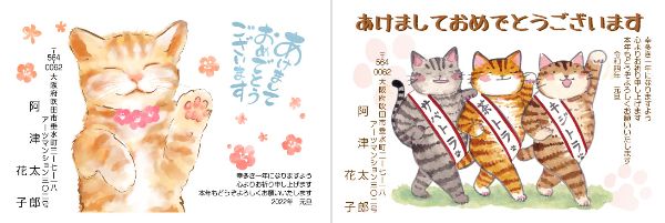 キジ猫横はがき