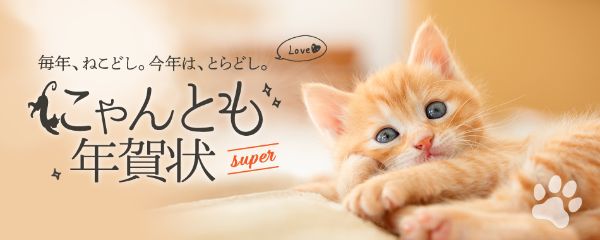 2022年寅年の年賀状も「猫」と「レトロ」に注目 – おたより本舗の 教え